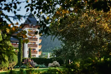 The Alpina Gstaad Hotel Hidaway Surrounded By Nature