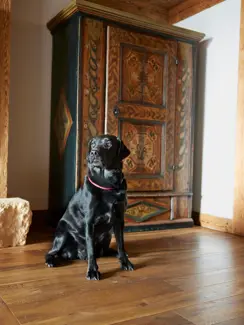 Swiss Deluxe Hotels Stories Winter 2023 2024 And Oskar Goes To Gstaad Gstaad 0117 Eci RGB