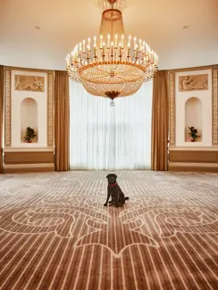 Swiss Deluxe Hotels Summer Magazine 2024 And Oskar Goes To Lausanne Lausanne Palace 107 Bearb RGB