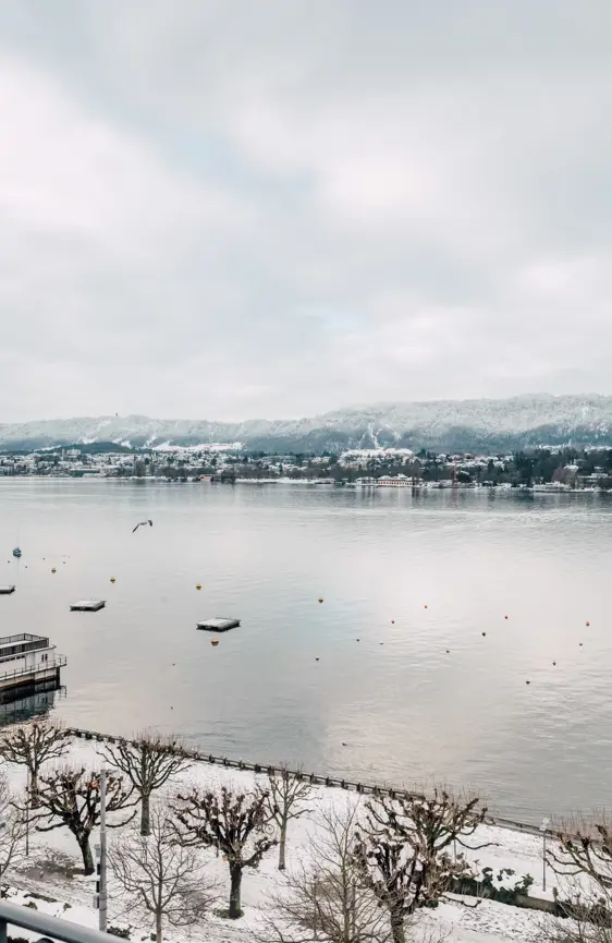 La Reserve Eden Au Lac Zurich Winter La Reserve Zurich