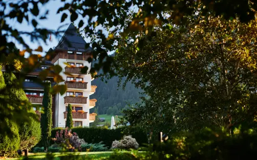 _The Alpina Summer