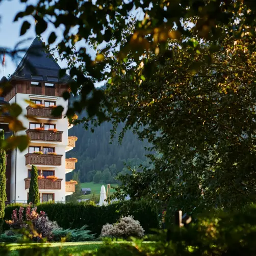 _The Alpina Summer