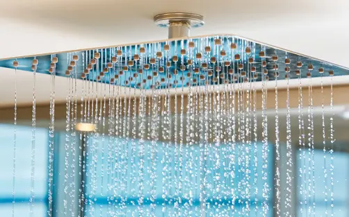 Swiss Deluxe Hotels Modern Rainfall Shower Head With Water Streaming