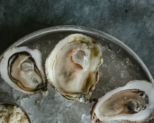 Swiss Deluxe Hotels Stories Summer 2021 Oysters Baby 01 Andrew Cebulka Stocksy 1825003 Ecirgb