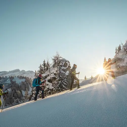 Swiss Deluxe Hotels ST 3X2 Villars Sur Ollon Ski Mountaineering 65675