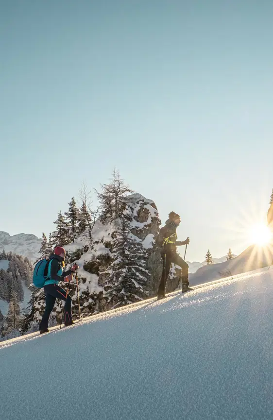 Swiss Deluxe Hotels ST 3X2 Villars Sur Ollon Ski Mountaineering 65675