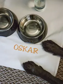 Swiss Deluxe Hotels Summer Magazine 2024 And Oskar Goes To Lausanne Lausanne Palace 018 Bearb RGB