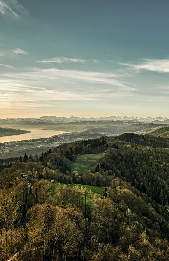 Switzerland Luxury Hotel ST 3X2 Uetliberg Lake Zurich 29566