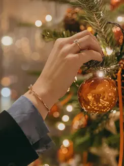 Swiss Deluxe Hotels Hotel Schweizerhof Bern & Spa Christmas Decoration (4)