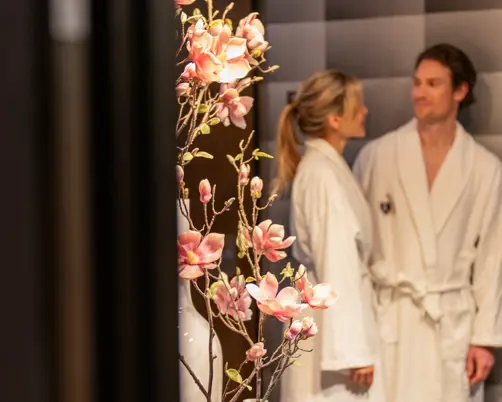 Swiss Deluxe Hotels Hotel Schweizerhof Bern & Spa Hydrothermal Journeys(5)