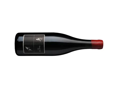 Swiss Deluxe Hotels Stories Summer 2020 Talking Wine 03 Lenz 1844 Pinot Bottle Shot Ecirgb