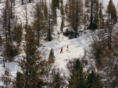 Swiss Deluxe Hotels Grand Hotel Kronenhof Crosscountry Skiing