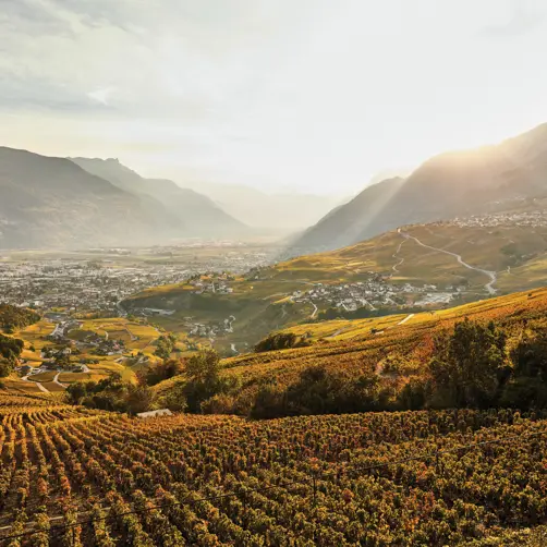 Switzerland Luxury Hotel ST 3X2 Conthey Autumn Panorama 43739