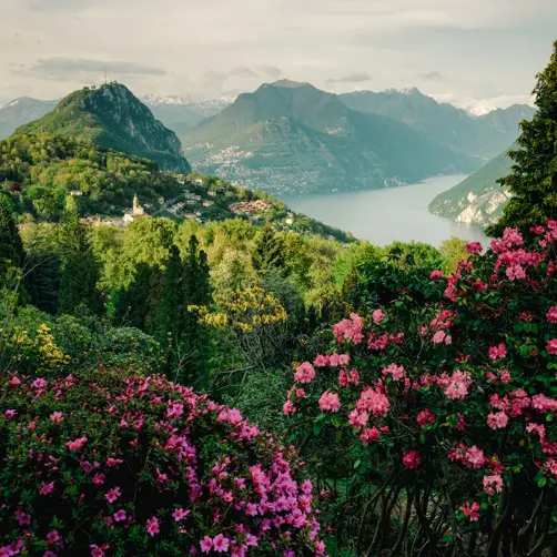 Switzerland Luxury Hotel ST 3X2 Carona San Grato Botanical Park 15871
