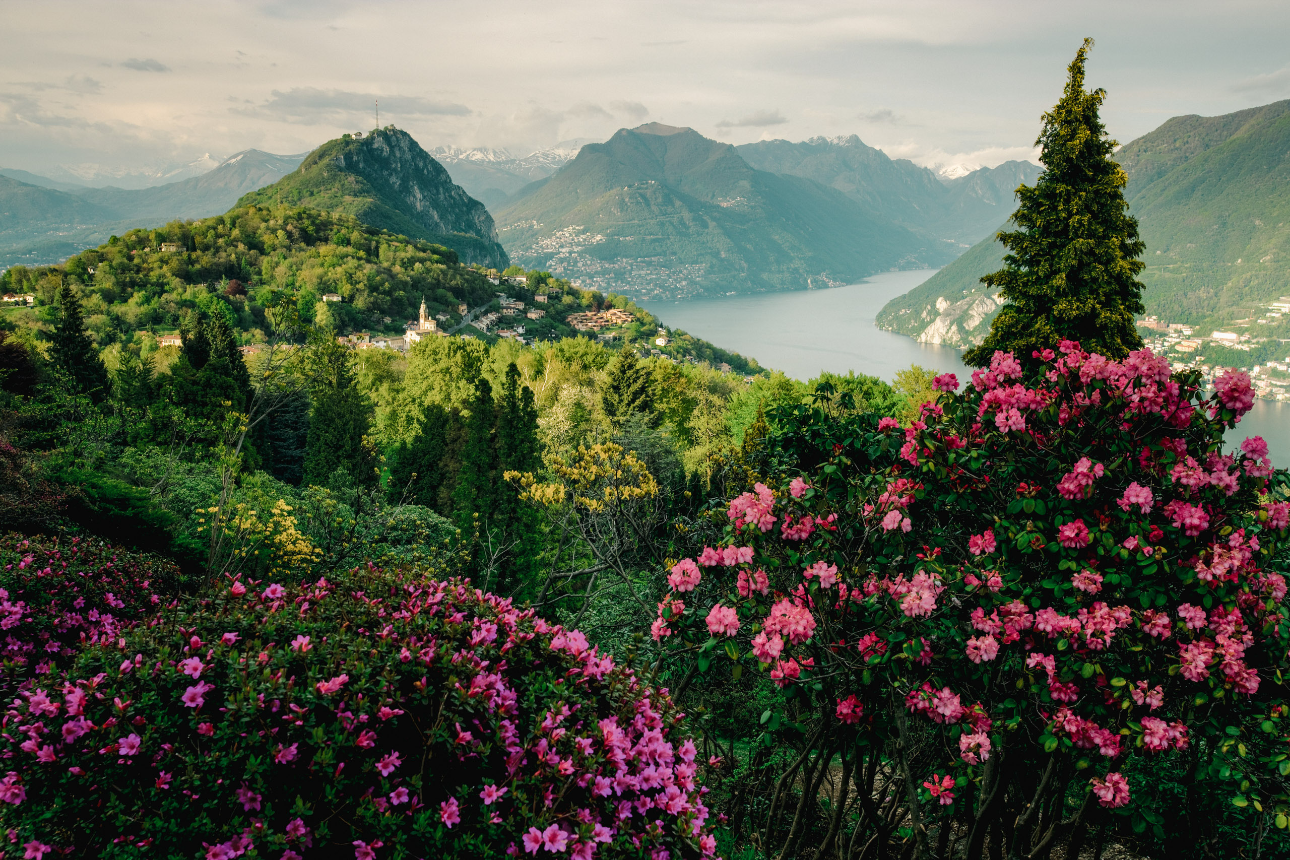 switzerland-luxury-hotel_st_3x2_carona-san-grato-botanical-park_15871.jpg?width\u003d562\u0026height\u003d865\u0026format\u003dwebp\u0026v\u003d1d97b7df053ea20