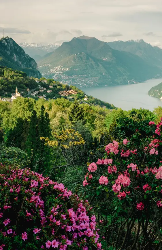 Switzerland Luxury Hotel ST 3X2 Carona San Grato Botanical Park 15871