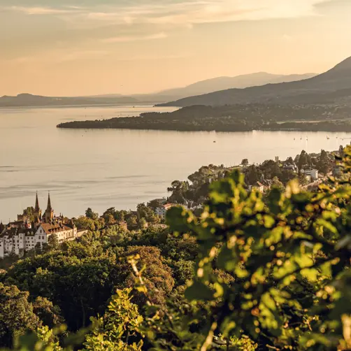 Switzerland Luxury Hotel ST 3X2 Neuchâtel View Of Neuchâtel From Roches De Lermitage 63765