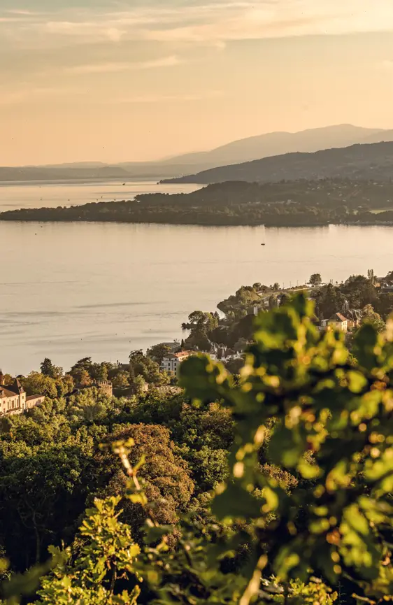 Switzerland Luxury Hotel ST 3X2 Neuchâtel View Of Neuchâtel From Roches De Lermitage 63765