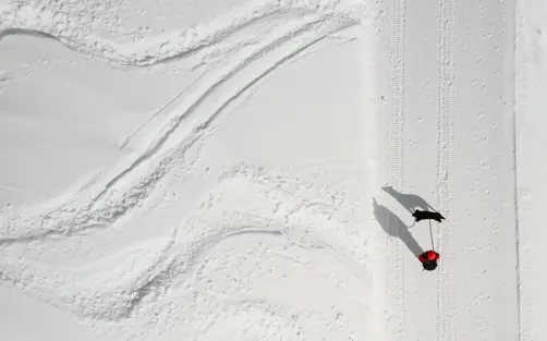 Swiss Deluxe Hotels Stories Winter 2021 And Oskar Goes To Tschuggen Grand Hotel 01 Oskar Goes To Arosa 041 Bearb Ecirgb