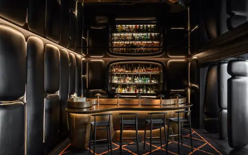 Swiss Deluxe Hotels Canvas Bar And Lounge