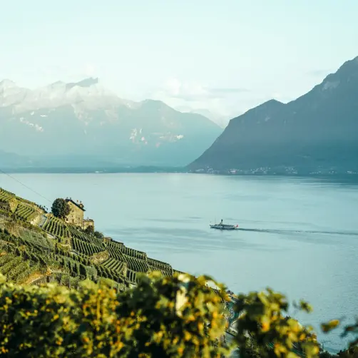 Switzerland Luxury Hotel ST 3X2 MMS Olympic City Lausanne 76634