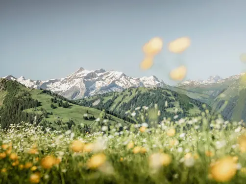 Swiss Deluxe Hotels Stories Summer 2021 Embedded Among Five Mountains 04 NOMADNESS GST HIKING 94 Bearb Ecirgb