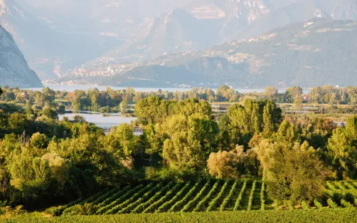 Swiss Deluxe Hotels Magazine Summer 2025 6