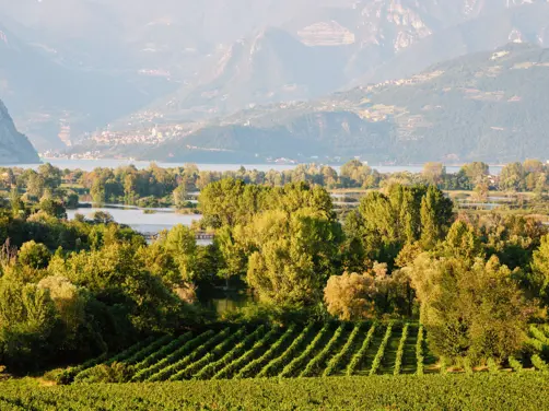 Swiss Deluxe Hotels Magazine Summer 2025 6