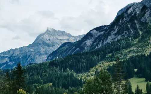 The Alpina Gstaad Hotel Panorama From Every Room