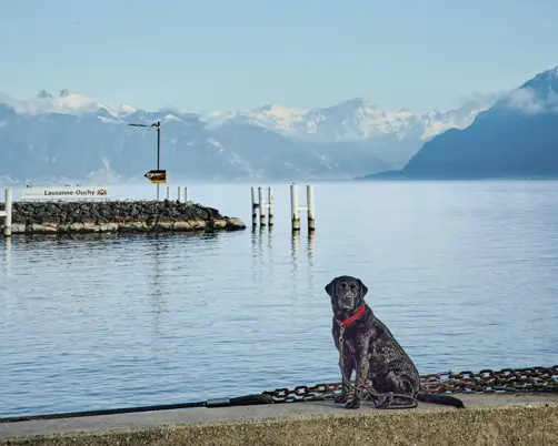 Swiss Deluxe Hotels Magazine Winter 2024 25 Oskar Gooes To Lausanne HR Lausanne Allgemein 074
