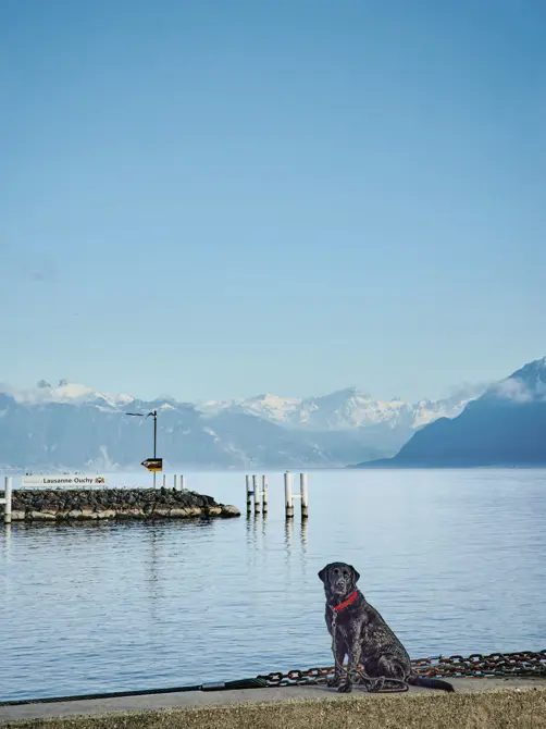 Swiss Deluxe Hotels Magazine Winter 2024 25 Oskar Gooes To Lausanne HR Lausanne Allgemein 074