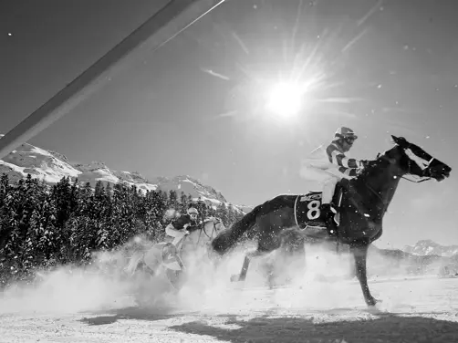 Swiss Deluxe Hotels Stories Winter 2023 2024 Swiss Top Events White Turf Mbyz6781 Sw Ecirgb