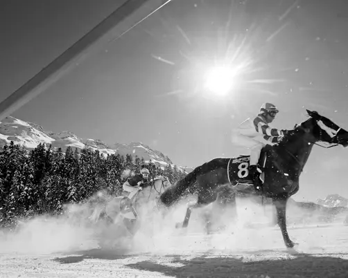 Swiss Deluxe Hotels Stories Winter 2023 2024 Swiss Top Events White Turf Mbyz6781 Sw Ecirgb