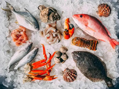 Swiss Deluxe Hotels Offical Partner Bianchi Fish Seafood