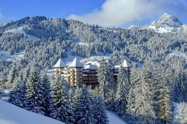 The Alpina Winter