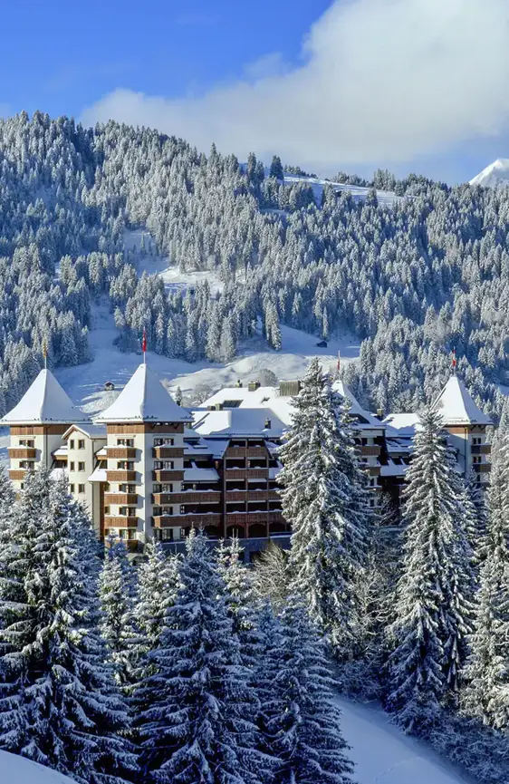 The Alpina Winter