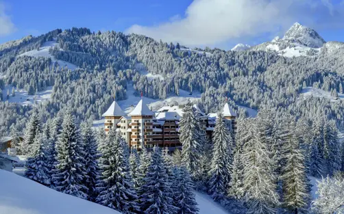The Alpina Winter