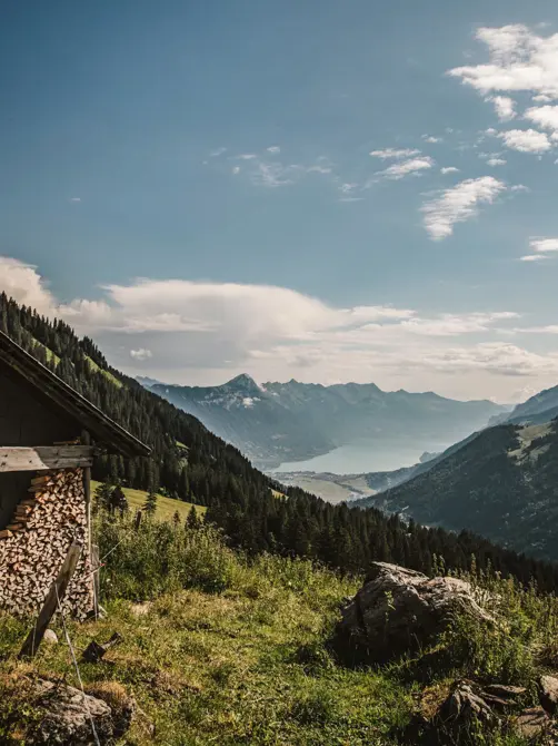 Swiss Deluxe Hotels Stories Summer 2020 Poetry On A Plate (Chef's Portrait : Stefan Beer) 02 VJ Zmenuvohie Alpfeuzesbergli013 Ecirgb