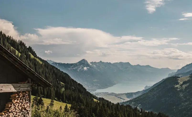 Swiss Deluxe Hotels Stories Summer 2020 Poetry On A Plate (Chef's Portrait : Stefan Beer) 02 VJ Zmenuvohie Alpfeuzesbergli013 Ecirgb