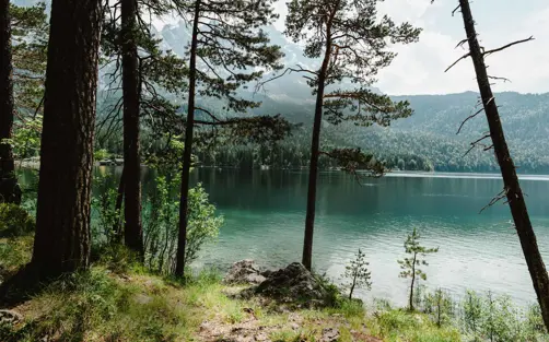 Swiss Deluxe Hotels Stories Summer 2021 Forest Bathing 01 Peter Wey Stocksy 663102 Ecirgb