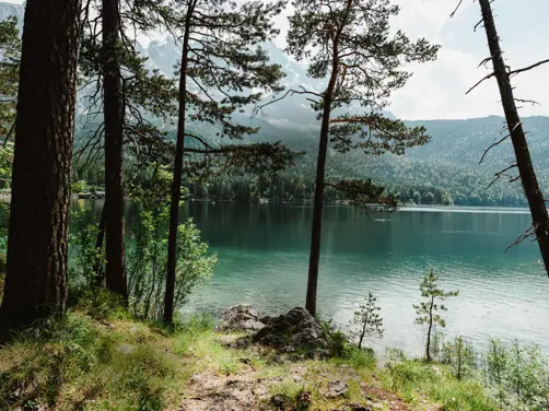 Swiss Deluxe Hotels Stories Summer 2021 Forest Bathing 01 Peter Wey Stocksy 663102 Ecirgb