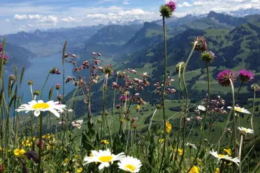 Swiss Deluxe Hotels Oberdorf Buochserhorn (31)