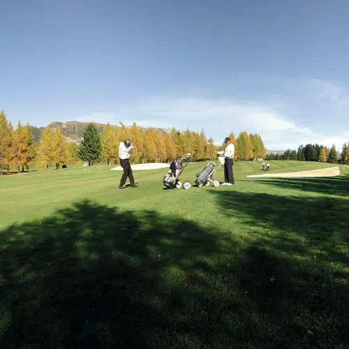 Switzerland Luxury Hotel ST Crans Montana Golfer 11082