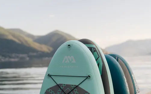 Hotel Eden Roc Ascona Watersport School