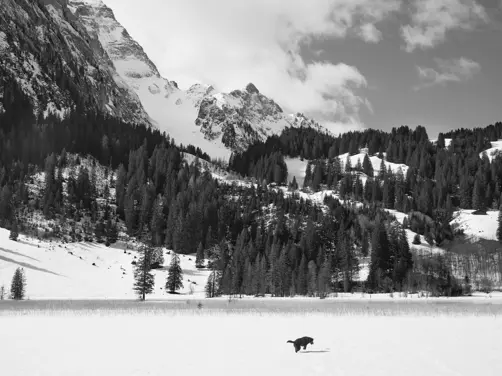 Swiss Deluxe Hotels Stories Winter 2023 2024 And Oskar Goes To Gstaad Gstaad 0462 Sw Eci RGB