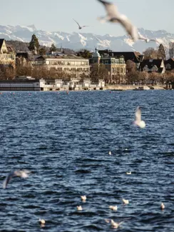 Swiss Deluxe Hotels Stories Winter 2022 Zurich Delights 07 2L0A7876 Ecirgb